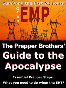 Prepper-Prothers-EMP-24b